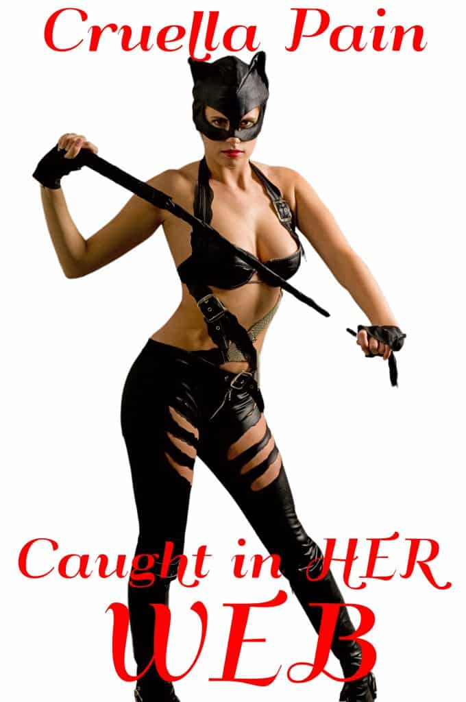 FinDom story: Caught in HER Web