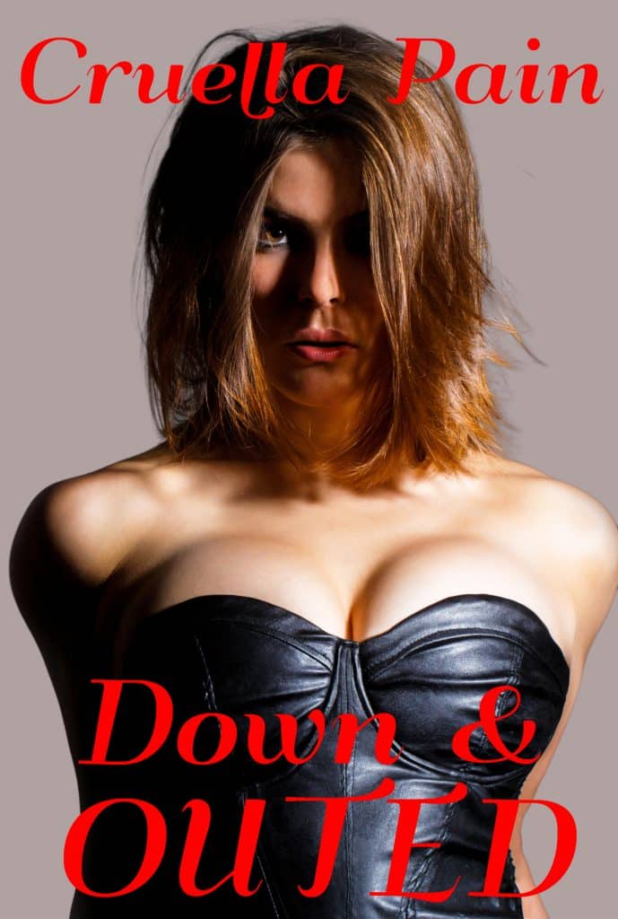 the story of a she-male whore